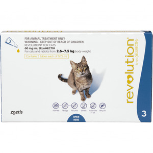 Health Flea Worm: Revolution Cat
