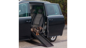 Trixie Petwalk Ramp