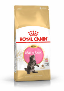 Cat Food Dry Food: Royal Canin Maine Coon Kitten 2kg