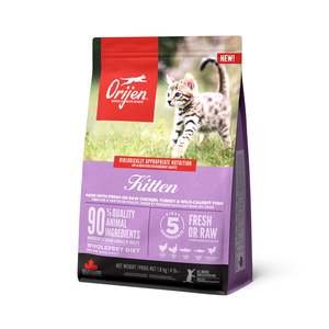 Cat Food Dry Food: Orijen Kitten
