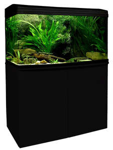 Fish Aquariums Tanks: Aqua One AquaStyle 980 Tank