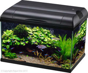 Fish Aquariums Tanks: Aqua One Ecostyle 61 Tank