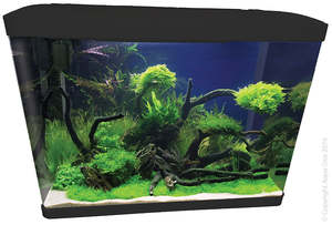 Fish Aquariums Tanks: Aqua One Lifestyle 76 Tank