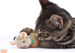 Cat Toys Toys Accessories: Hartz Roll About Mouse