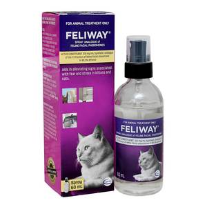 Cat Health Wellbeing Anxiety: Feliway Spray