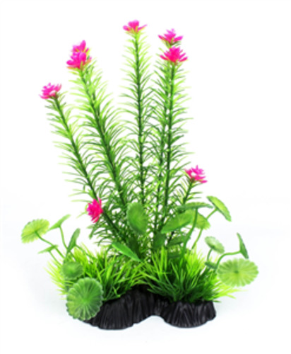 Fish Decorations Plants: Aqua World Plant Floral Spike 25cm