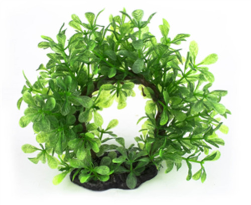 Fish Decorations Plants: Aqua World Plant Bonsai Halo 15cm