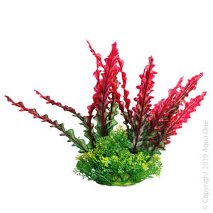Fish Decorations Plants: Aqua One Ecoscape Medium Ruffled Lace Plant Red