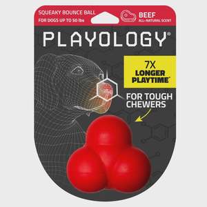 Dogs: Playology Squeaky Bounce Ball - Beef Medium