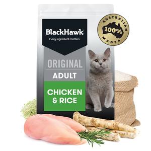 New Cat: Black Hawk Cat Chicken