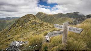 TARARUAS HOLDSWORTH SIGN