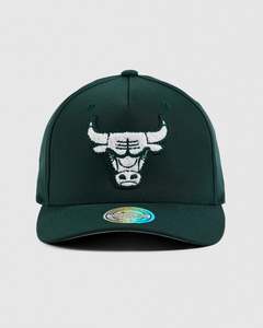 Headwear: NBA Winter Colour 110 Snapback - Chicago Bulls  Pine