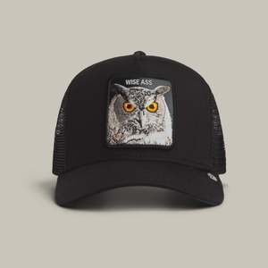 Wise Ass Trucker - Void