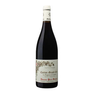 2023, Domaine Pierre Guillemot, CORTON, Grand Cru, 'Le Rognet et Corton'