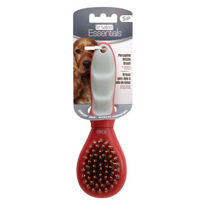 Le Salon Porcupine Bristle Brush Pet Essentials Rototuna Hamilton