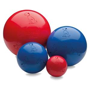 Company of Animals Boomer Ball Dog Toy