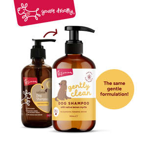 Dog Shampoos Conditioners: Yours Droolly Gently Clean Dog Shampoo