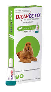 Dog Flea Treatment: Bravecto Spot On For Dogs 10-20kg