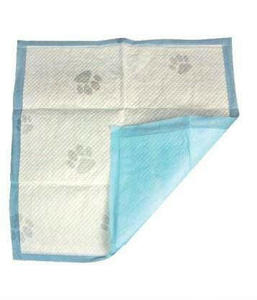 Training Pads: Pet One Wee Wee Training Pads 60x60CM Single Pad