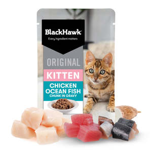 Cat Wet Food: Black Hawk Original Kitten Chicken & Fish in Gravy Wet Cat Food