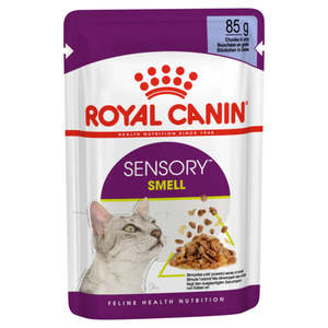 Cat Wet Food: Royal Canin Sensory Smell in Jelly Wet Cat Food