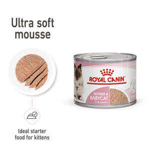 Royal Canin Cat Wet Food: Royal Canin Mother and Baby Mousse