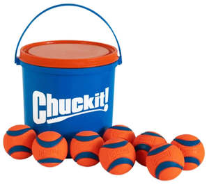 Chuckit! Ultra Ball & Bucket Dog Toy