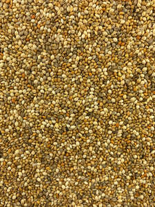 Topflite Millet Mix Bird Seed