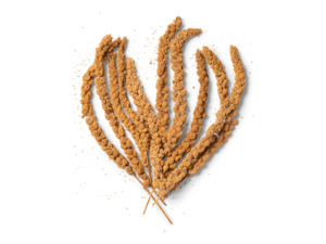 Bird Seed: Topflite Millet Sprays Seed