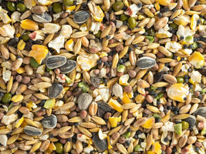 Topflite Soak & Sprout Seed