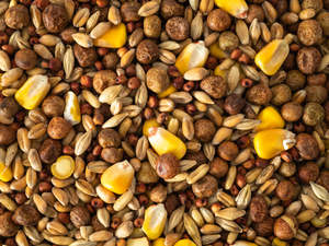 Topflite Pigeon Seed Mix