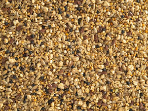 Topflite Quail Seed Mix