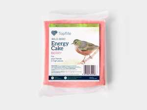 Topflite Wild Bird Energy Cake