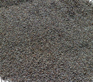 Bird Seed: Topflite Blue Maw