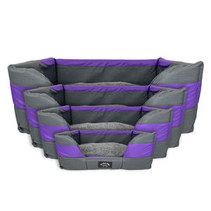Dog Bed: It's Bed Time Basket Bed Purple