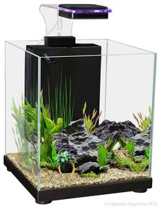 Mega Menu: Aqua One Betta Sanctuary Glass Tank 10L Black