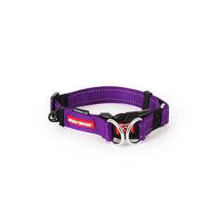 EzyDog Double Up Collar Purple