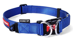 Dog Collars: EzyDog Double Up Collar Blue