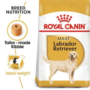 Royal Canin Labrador Retriever Adult Dry Dog Food