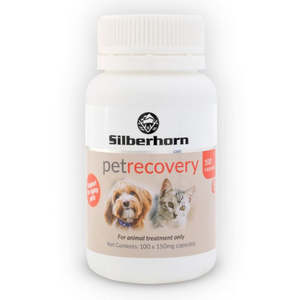 Dog Supplements: Silberhorn Pet Recovery Nutritional Supplement