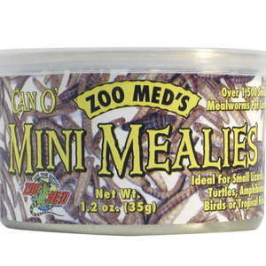 Reptile: Zoo Med Blue Can O Mini Mealies
