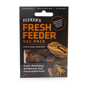 Reptile: Flukers Fresh Feeder Vac Pack Dubia Roaches