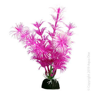 Aqua One Fish Tank Ornaments: Aqua One Bettascape Betta Ambulia Pink
