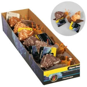 Aqua One Fish Tank Ornaments: Aqua One Flexiscape Sea Snail