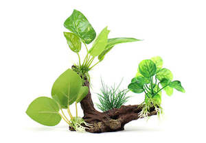 Aqua Care Fish Ornaments: Aqua Care Ornament Wood & Plant