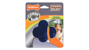 Nylabone Power Play Crazy Ball Dog Toy