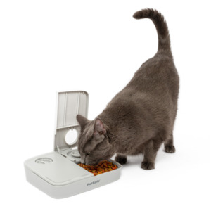 Petsafe Automatic 2 Meal Pet Feeder