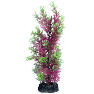 Best Selling: Aqua One Ecoscape Cabomba Pink