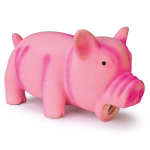 Grunting Latex Pig Dog Toy