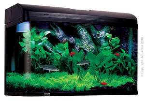 Aqua One AquaStyle AR850 Aquarium
